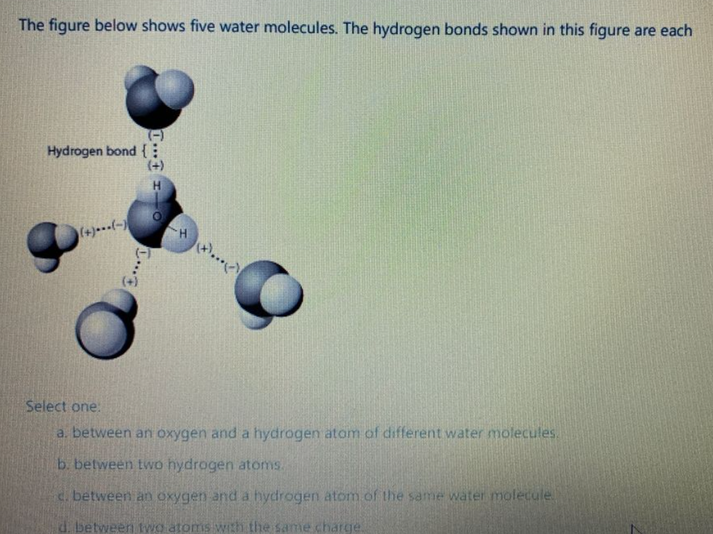 Answered: The Figure Below Shows Five Water… | Bartleby