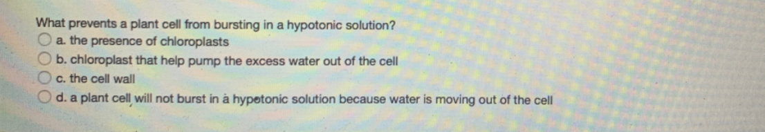 Answered What Prevents A Plant Cell From Bartleby