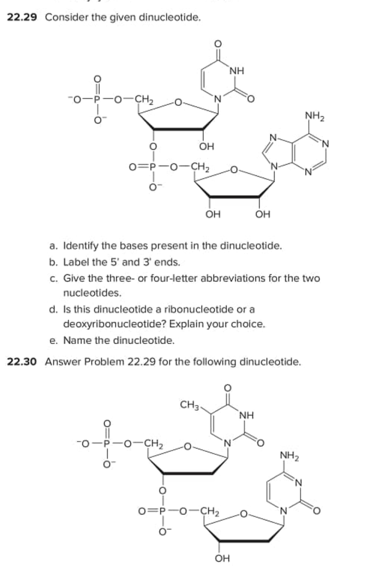 Answered: 22.29 Consider the given dinucleotide.… | bartleby