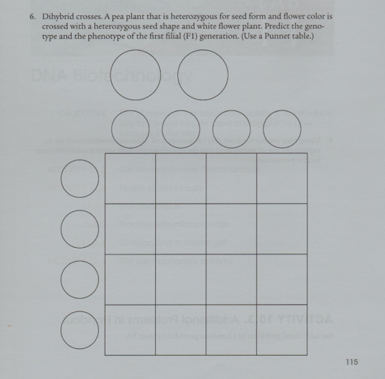 Answered 6 Dihybrid Crosses A Pea Plant That Bartleby