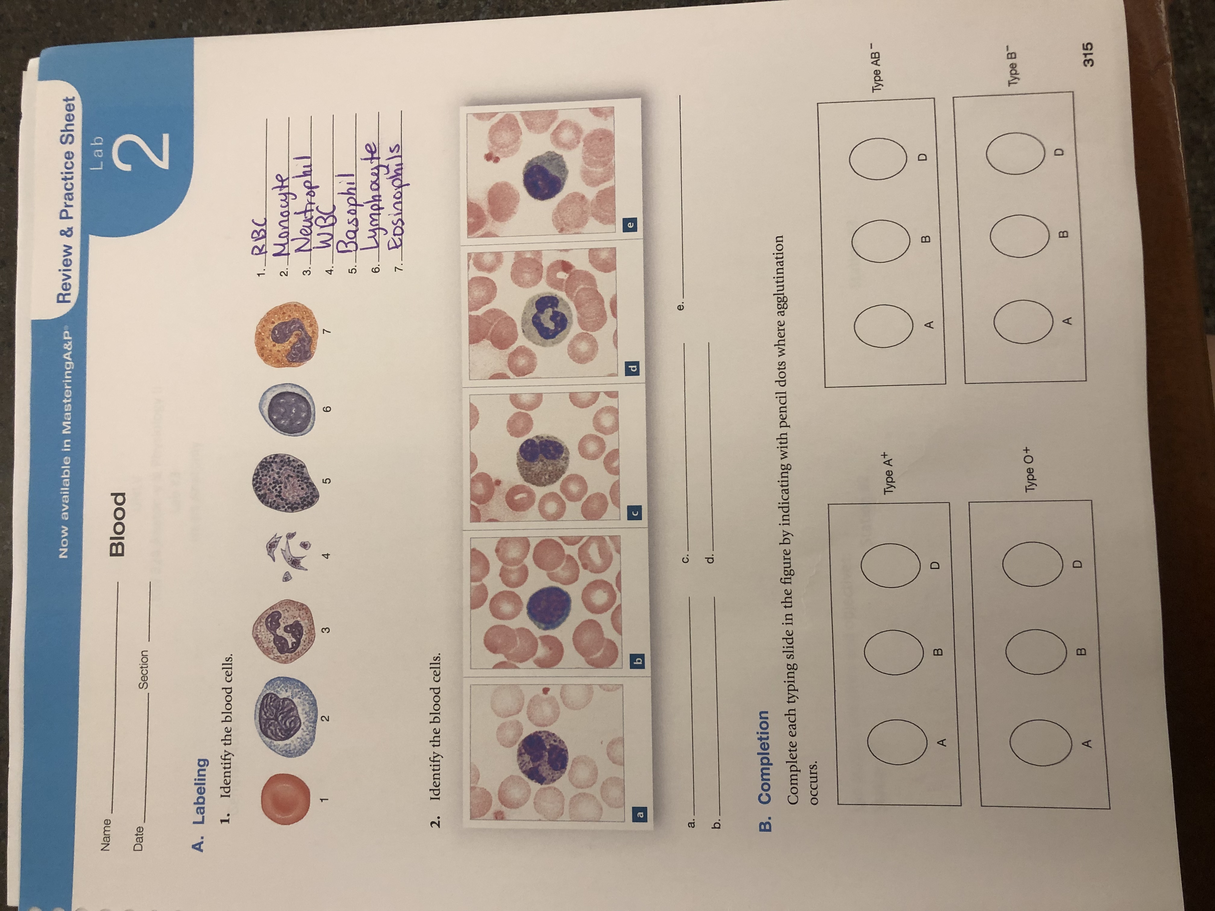 Answered: Review&Practice Sheet Now Available In… | Bartleby