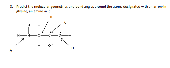 Answered 3. Predict the molecular geometries and… bartleby