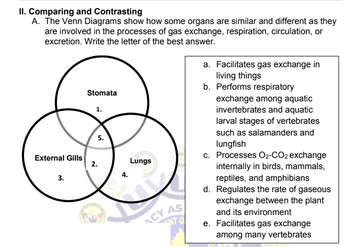 Answered: II. Comparing and Contrasting A. The… | bartleby