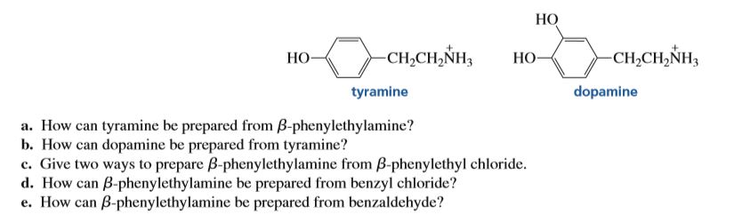 Answered No Ch2ch Nh3 No Ch Ch Nh3 No Bartleby