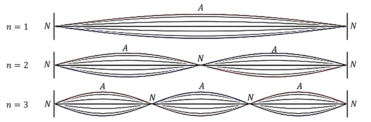 Answered: You create a standing wave on a string… | bartleby