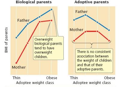 Answered Biological Parents Adoptive Parents Bartleby