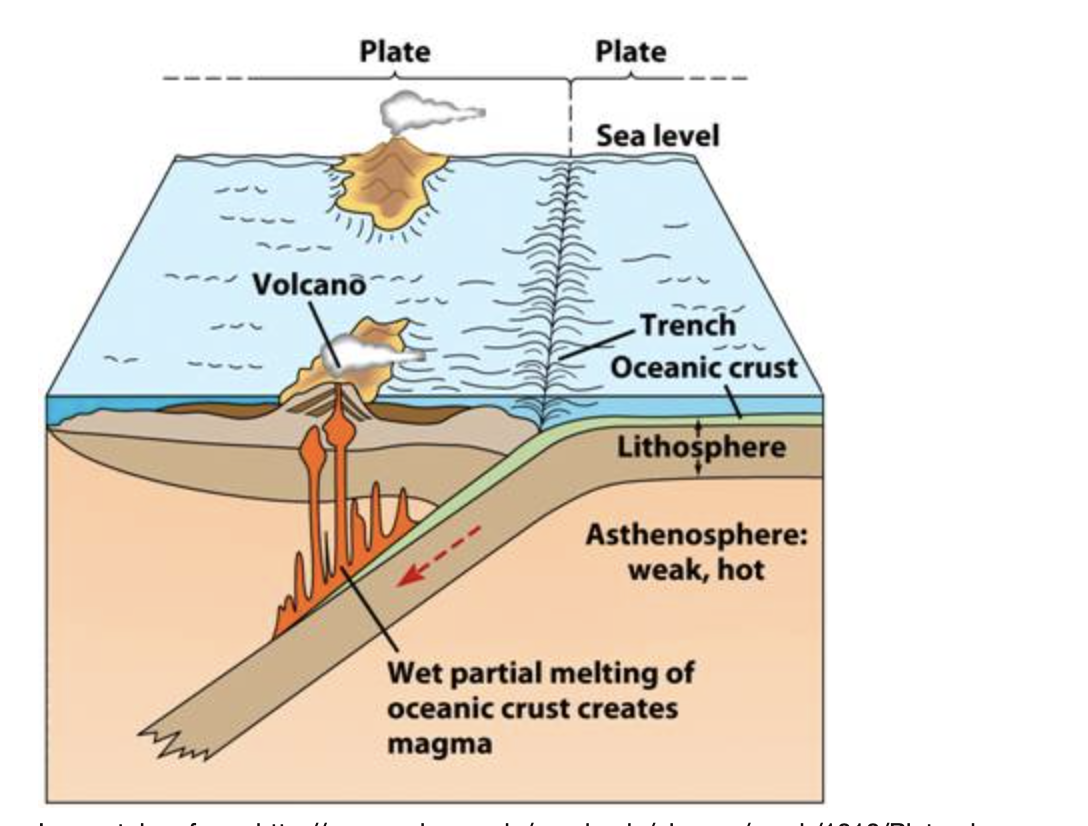 Answered: Plate Plate Sea level --- Volcano… | bartleby