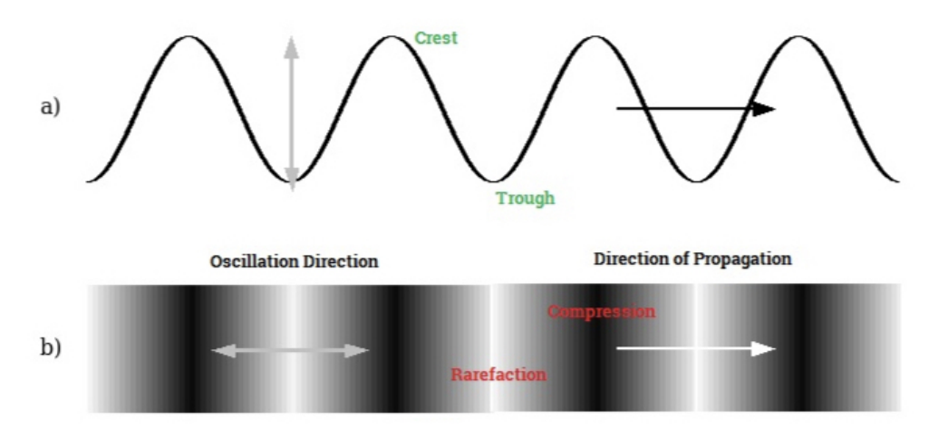 Answered Crest A Trough Oscillation Direction Bartleby