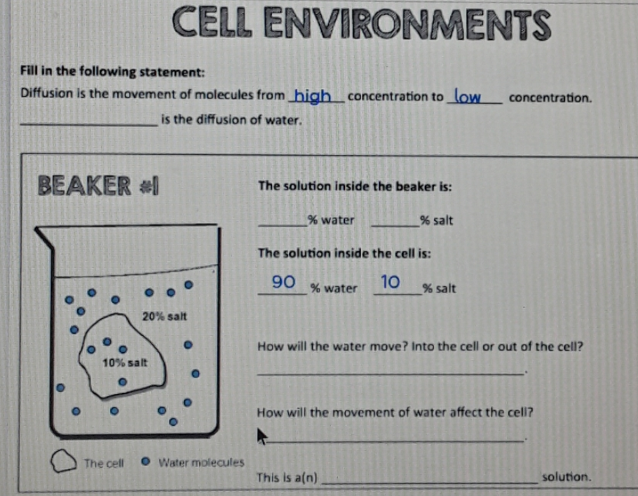 Answered: CELL ENVIRONMENTS Fill in the following… | bartleby