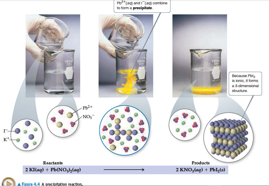 Answered: Pb2*(aq) and I (aq) combine to form a… | bartleby