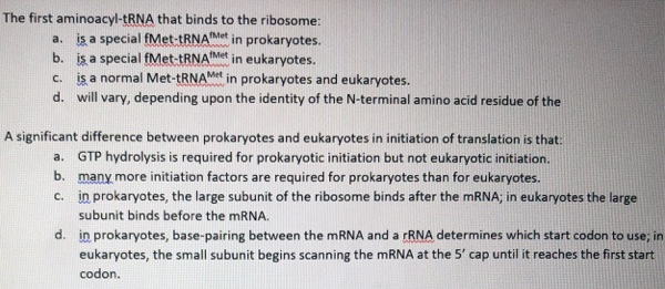 Answered: The first aminoacyl-TRNA that binds to… | bartleby