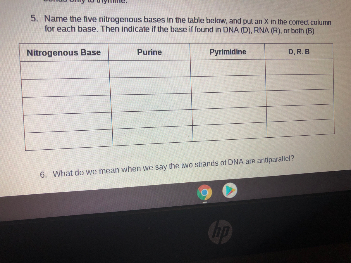 answered-5-name-the-five-nitrogenous-bases-in-bartleby