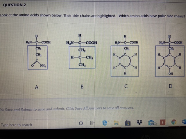 Answered Look At The Amino Acids Shown Below Bartleby