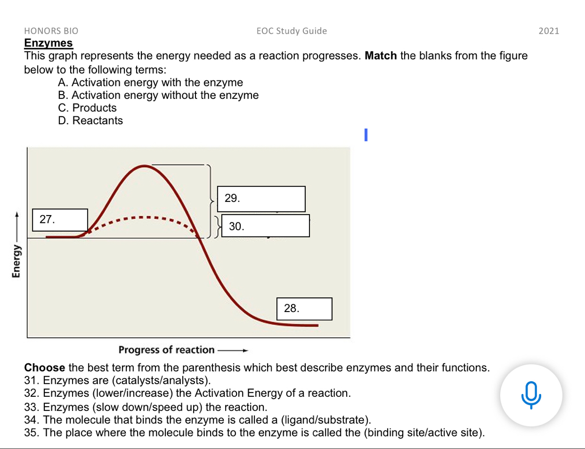 Answered Honors Bio Eoc Study Guide 2021 Enzymes Bartleby