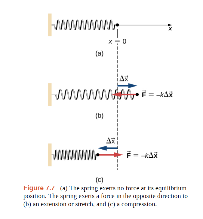 Answered: wwww X = 0 (a) wwww A = -KAR (b) F =… | bartleby