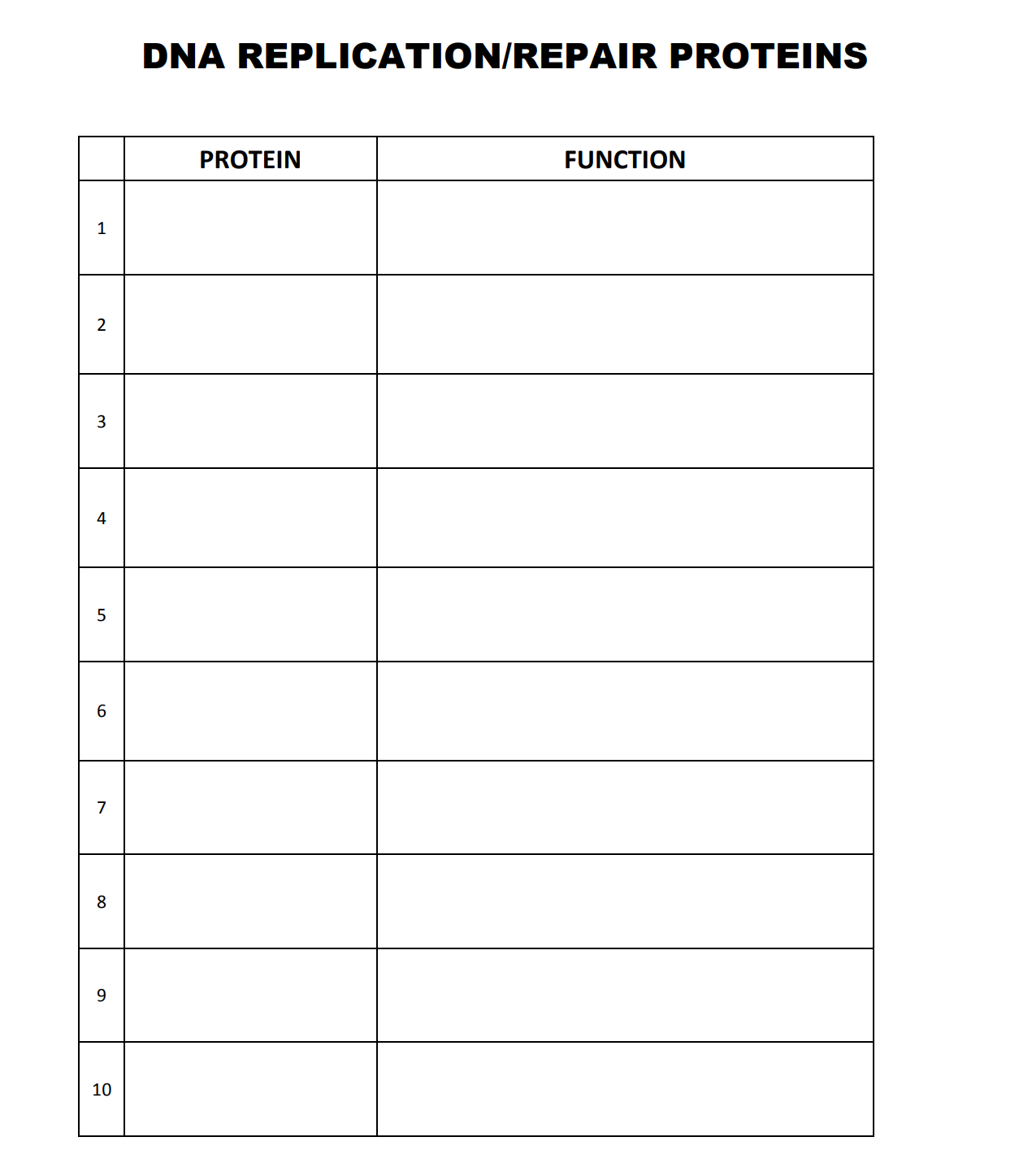 Answered: DNA REPLICATION/REPAIR PROTEINS  bartleby Intended For Dna And Replication Worksheet Answers