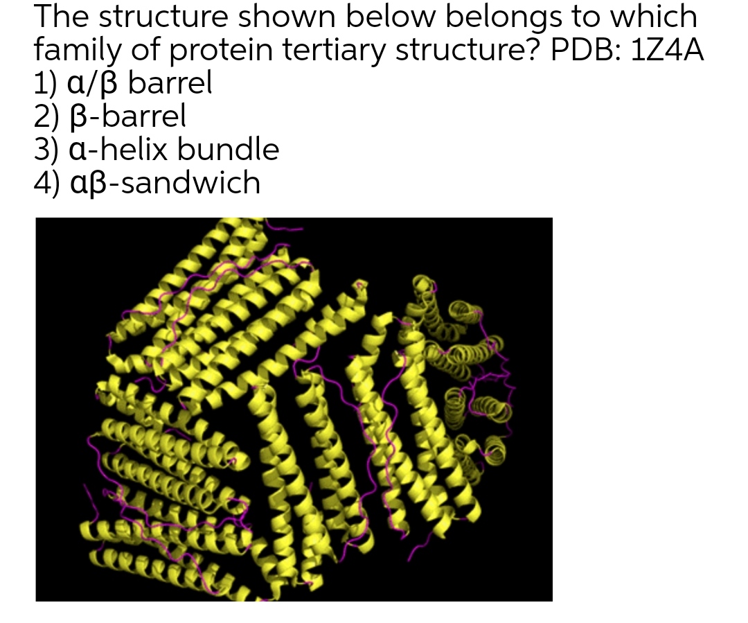 Answered The Structure Shown Below Belongs To Bartleby