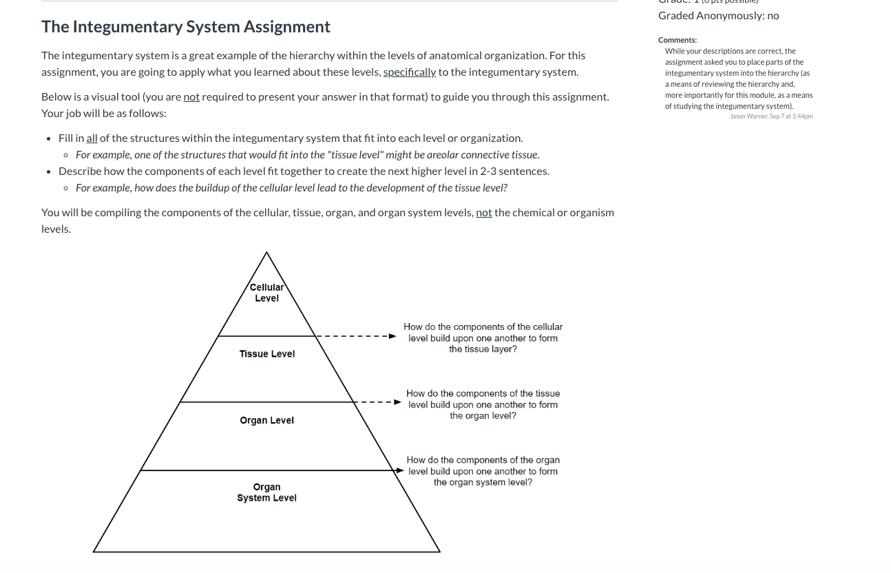 Answered: The Integumentary System Assignment The… | bartleby