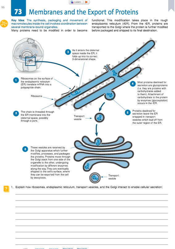 Answered Listen 96 73 Membranes And The Export Bartleby