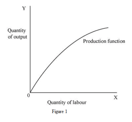 Answered: Y Quantity of output Production… | bartleby