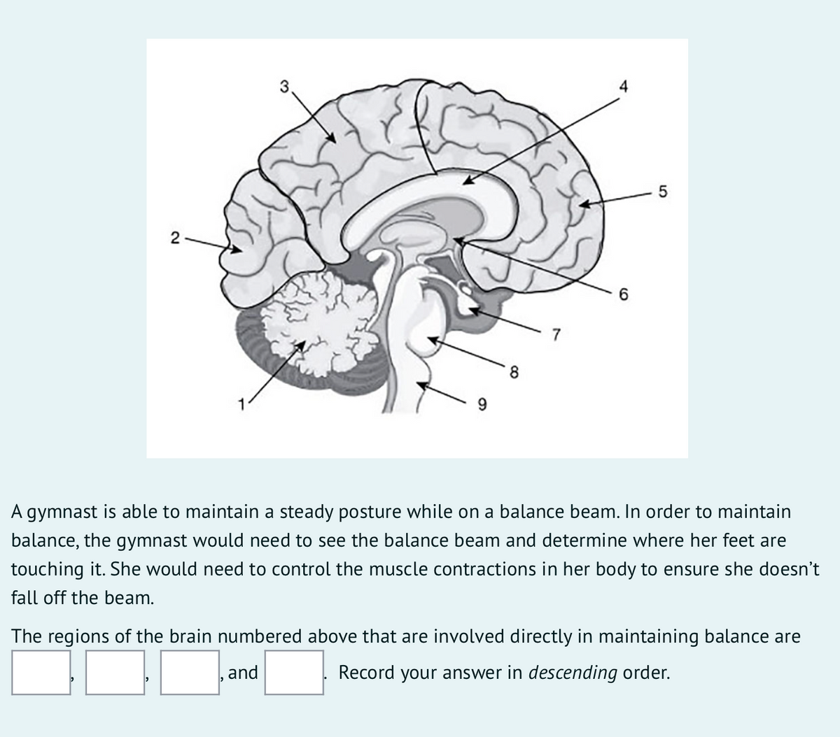 Answered 3 4 2 A Gymnast Is Able To Maintain A Bartleby