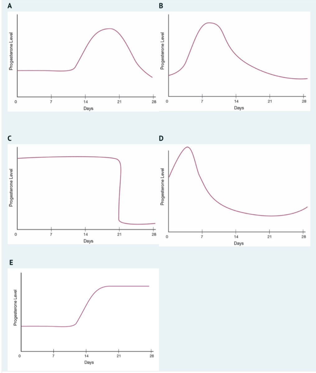 Answered: Which Of The Following Graphs… | Bartleby