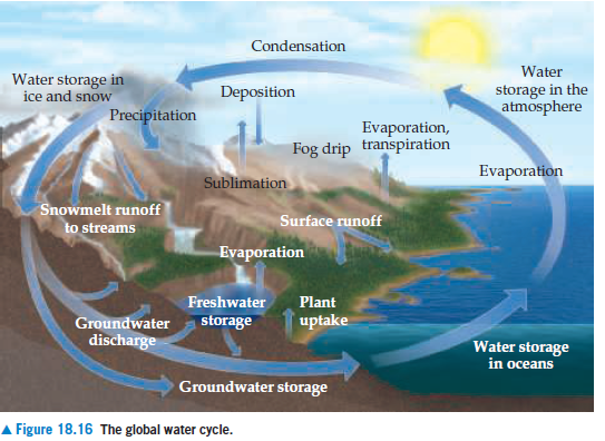 Answered: Condensation Water Water storage in ice… | bartleby