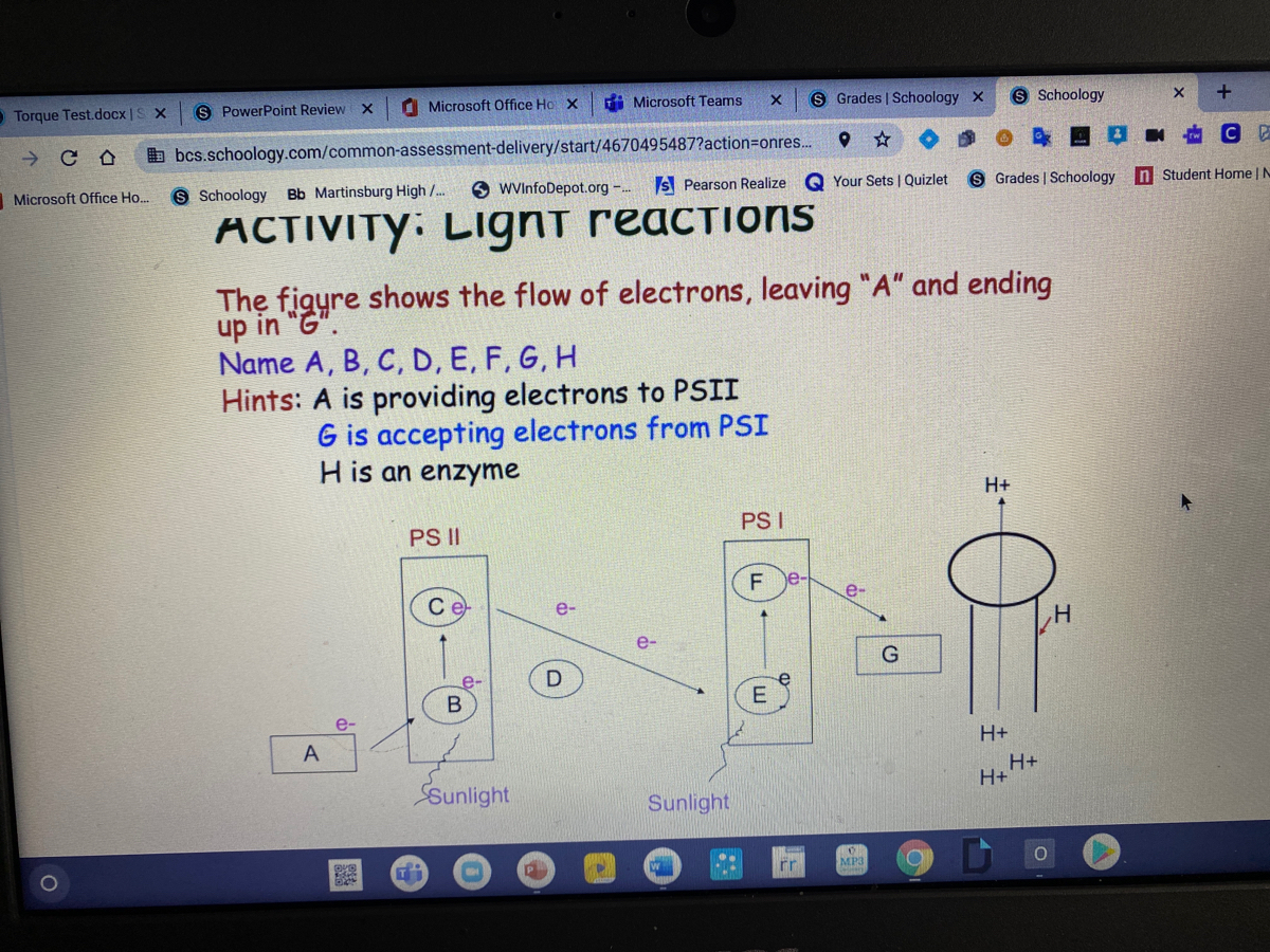 Answered The Figure Shows The Flow Of Electrons Bartleby