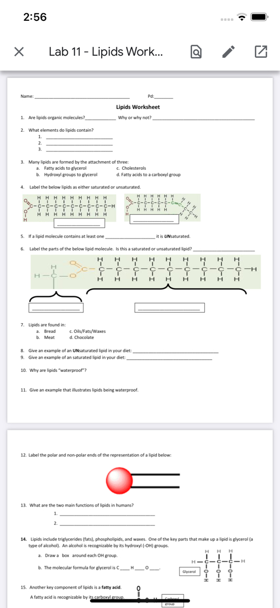 Lipids Worksheet Answer Key