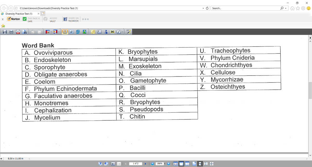 Answered Word Bank U Tracheophytes V Phylum Bartleby