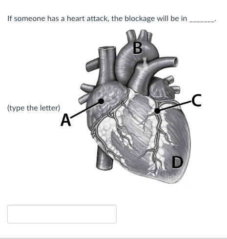 Answered: B | Bartleby