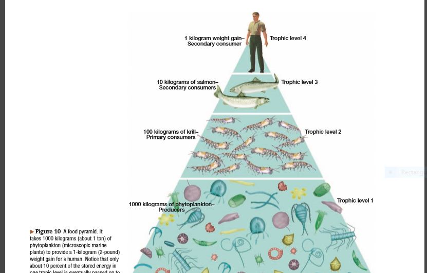 Answered: 1 kilogram woight gain- Secondary… | bartleby