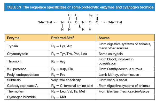 Answered Table 5 3 The Sequence Specificities Of Bartleby