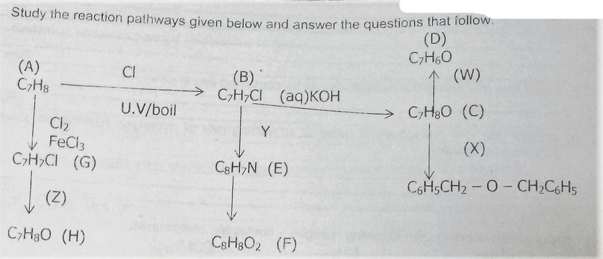Answered Study The Reaction Pathways Given Below Bartleby