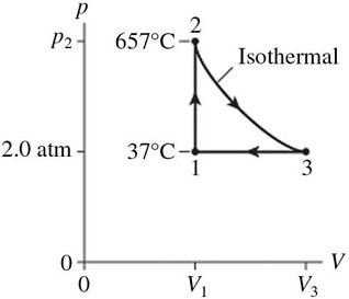 Answered Thermodynamic Processes The Figure Bartleby