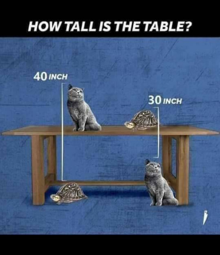 answered-how-tall-is-the-table-40-inch-30-inch-bartleby