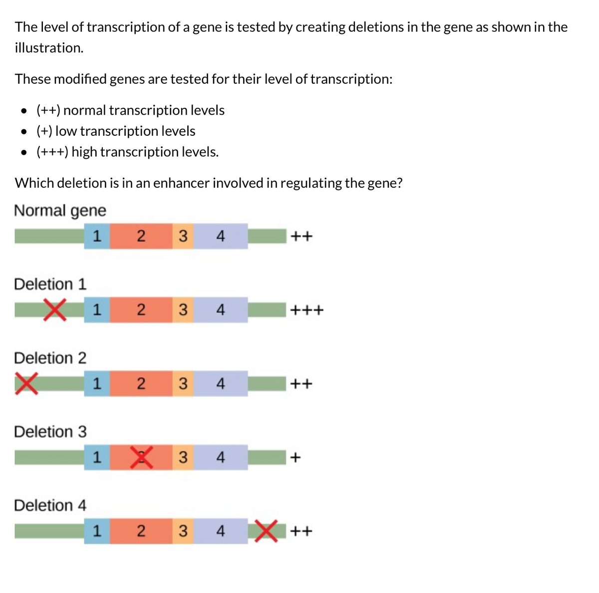 Answered: The level of transcription of a gene is… | bartleby