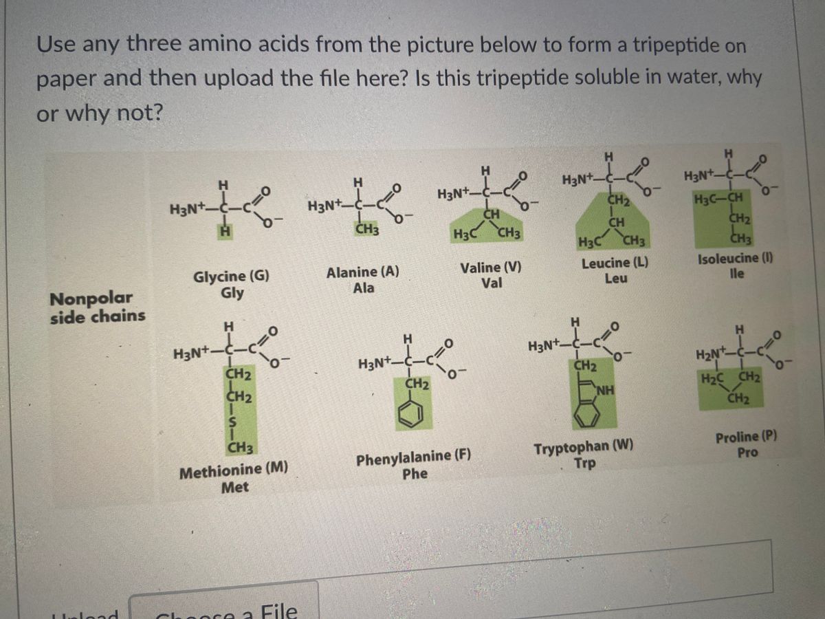 Answered Use any three amino acids from the… bartleby