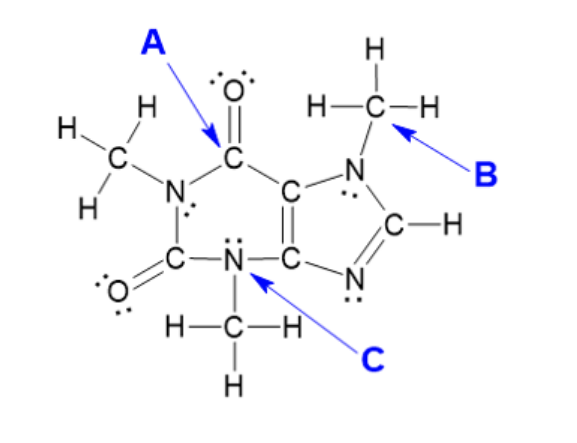 caffeine structure with lone pairs