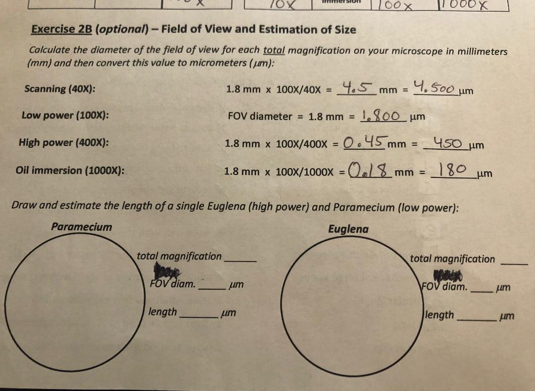 Answered Exercise 2b Optional Field Of View Bartleby