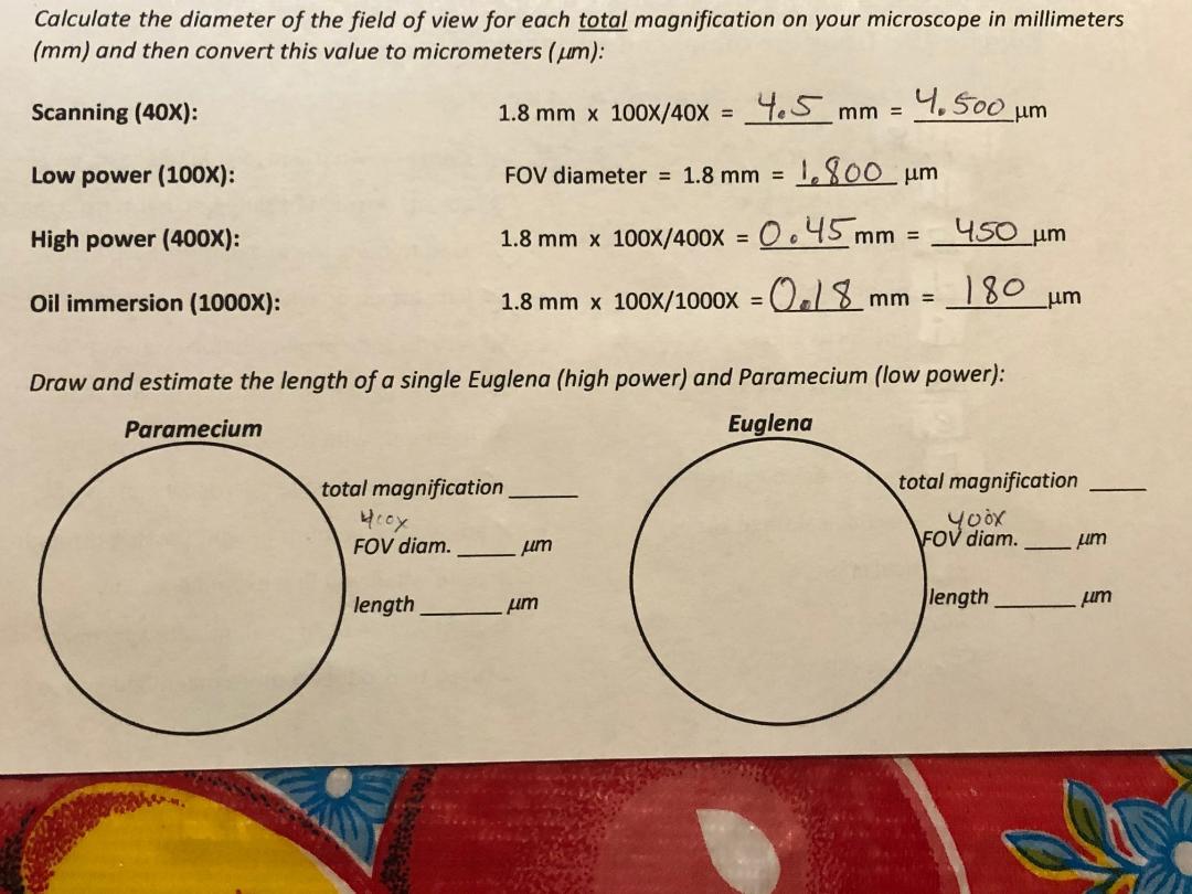 Answered Calculate The Diameter Of The Field Of Bartleby