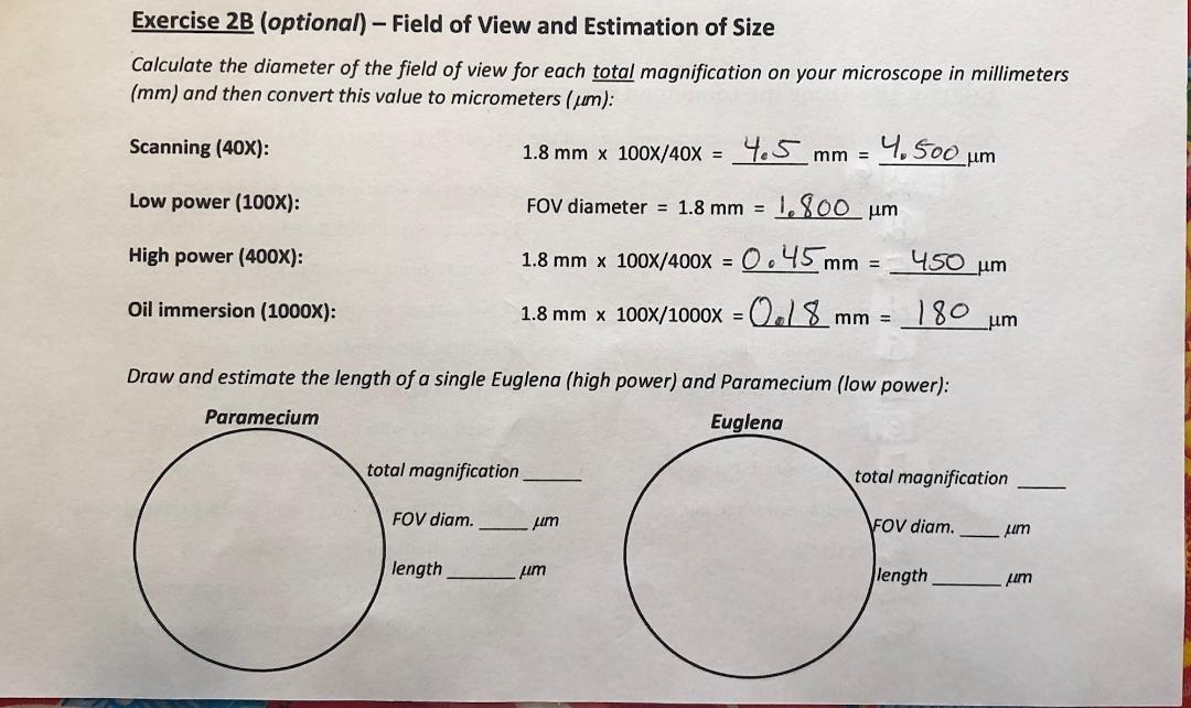 Answered Exercise 2b Optional Field Of View Bartleby