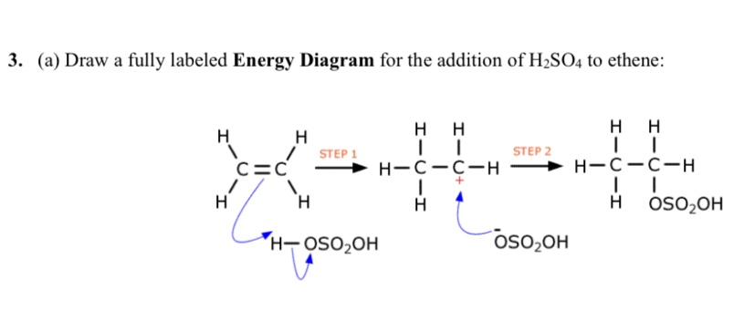 Answered 3 A Draw A Fully Labeled Energy… Bartleby