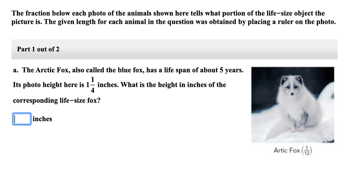 Answered: a. The Arctic Fox, also called the blue… | bartleby