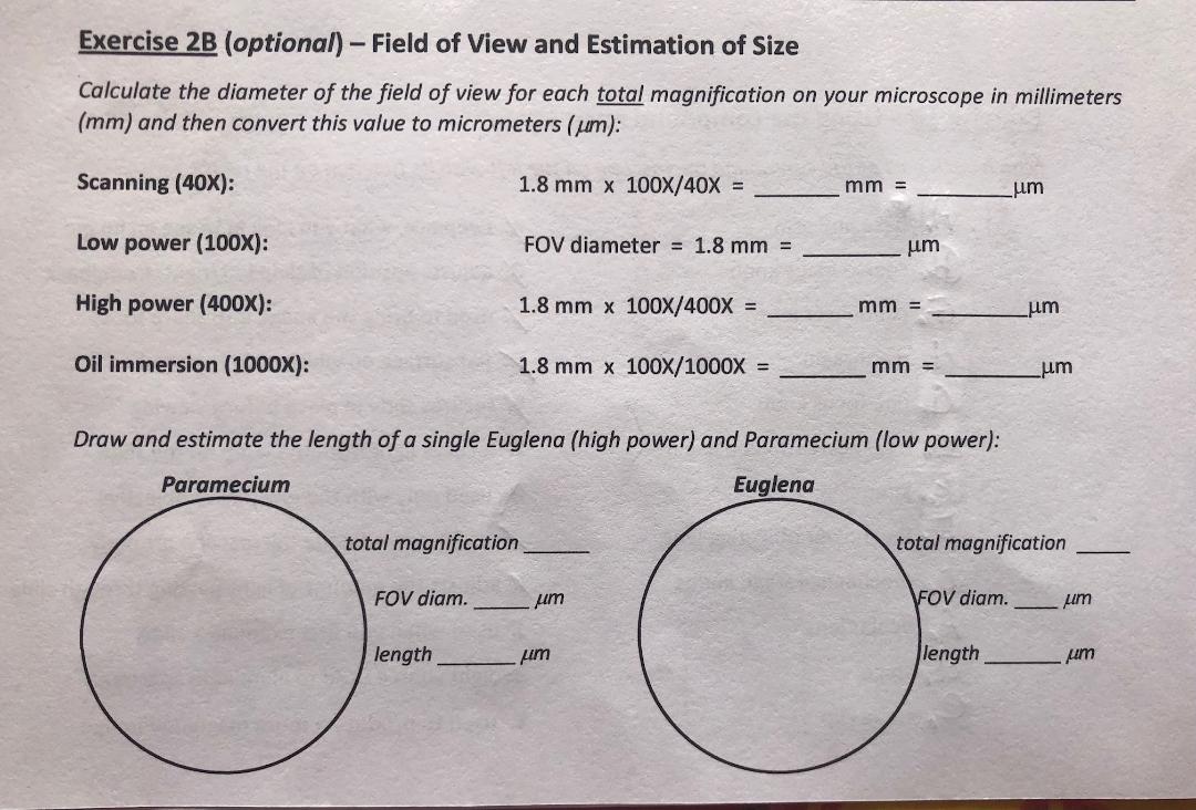 Answered Exercise 2b Optional Field Of View Bartleby