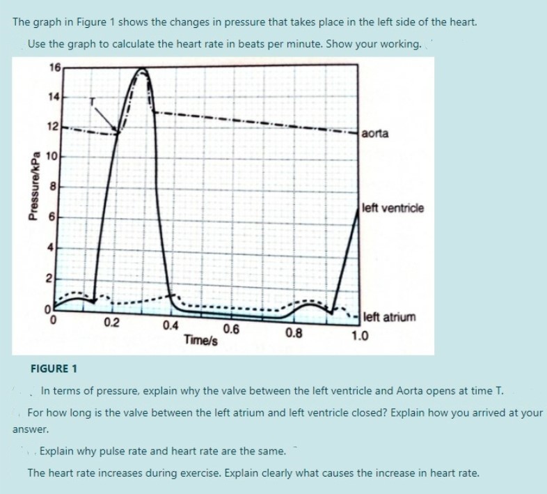 Answered: The graph in Figure 1 shows the changes… | bartleby