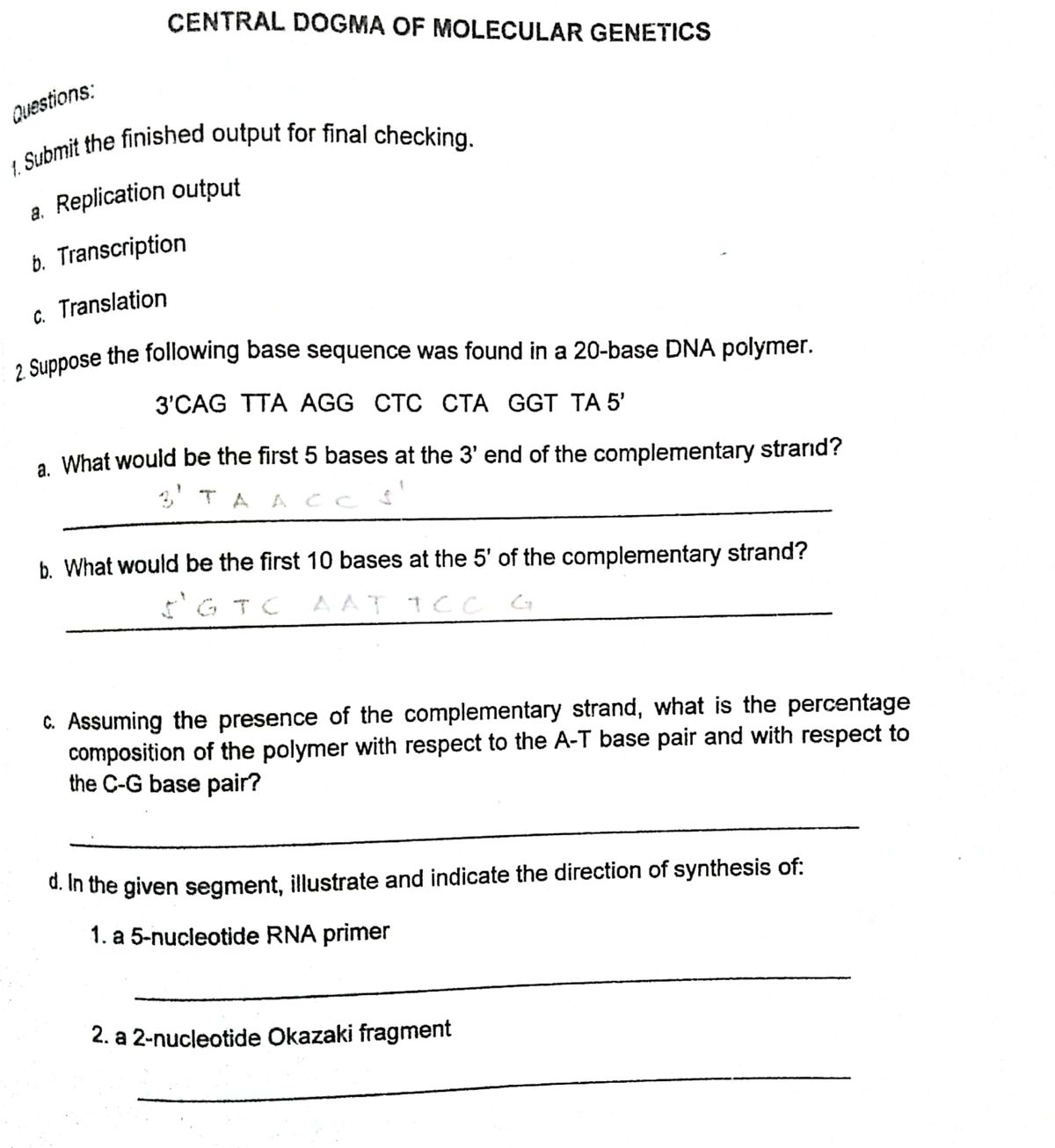 Answered Suppose The Following Base Sequence Bartleby