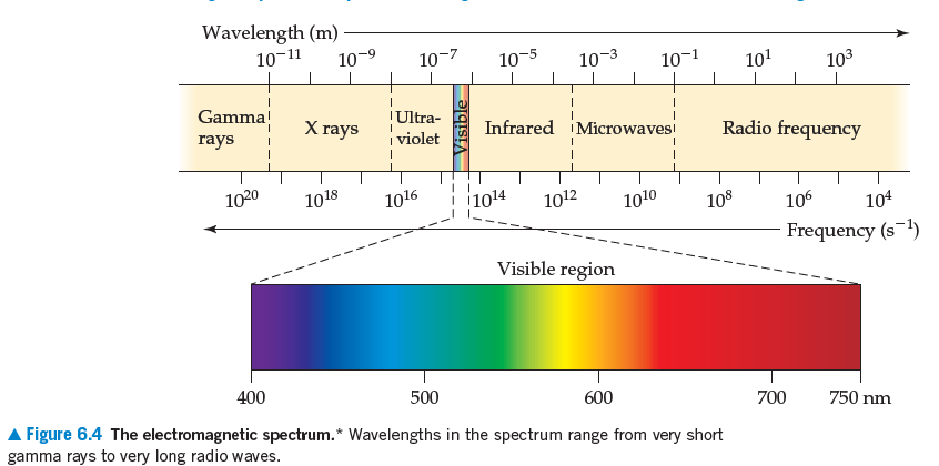 Answered: Wavelength (m) · 10-11 10-9 10-7 10-5… | bartleby