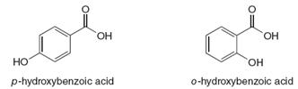 Answered Ho On No On P Hydroxybenzoic Acid Bartleby