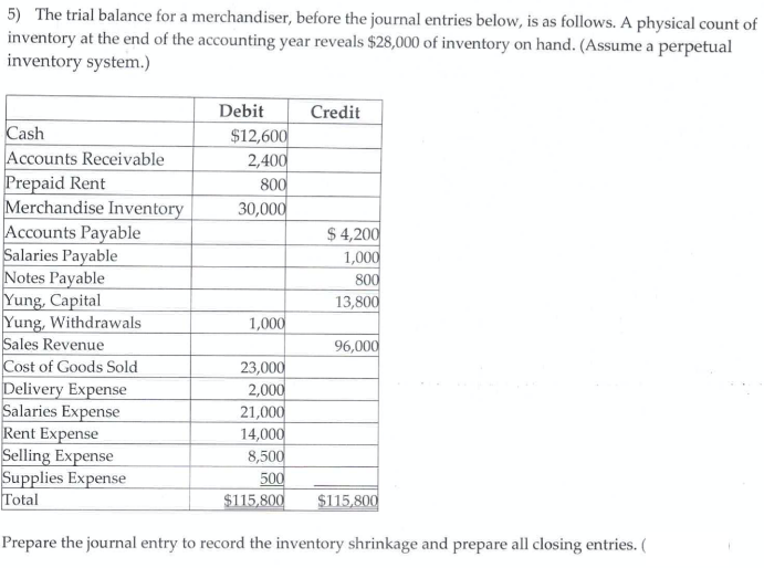 Answered: 5) The Trial Balance For A… 